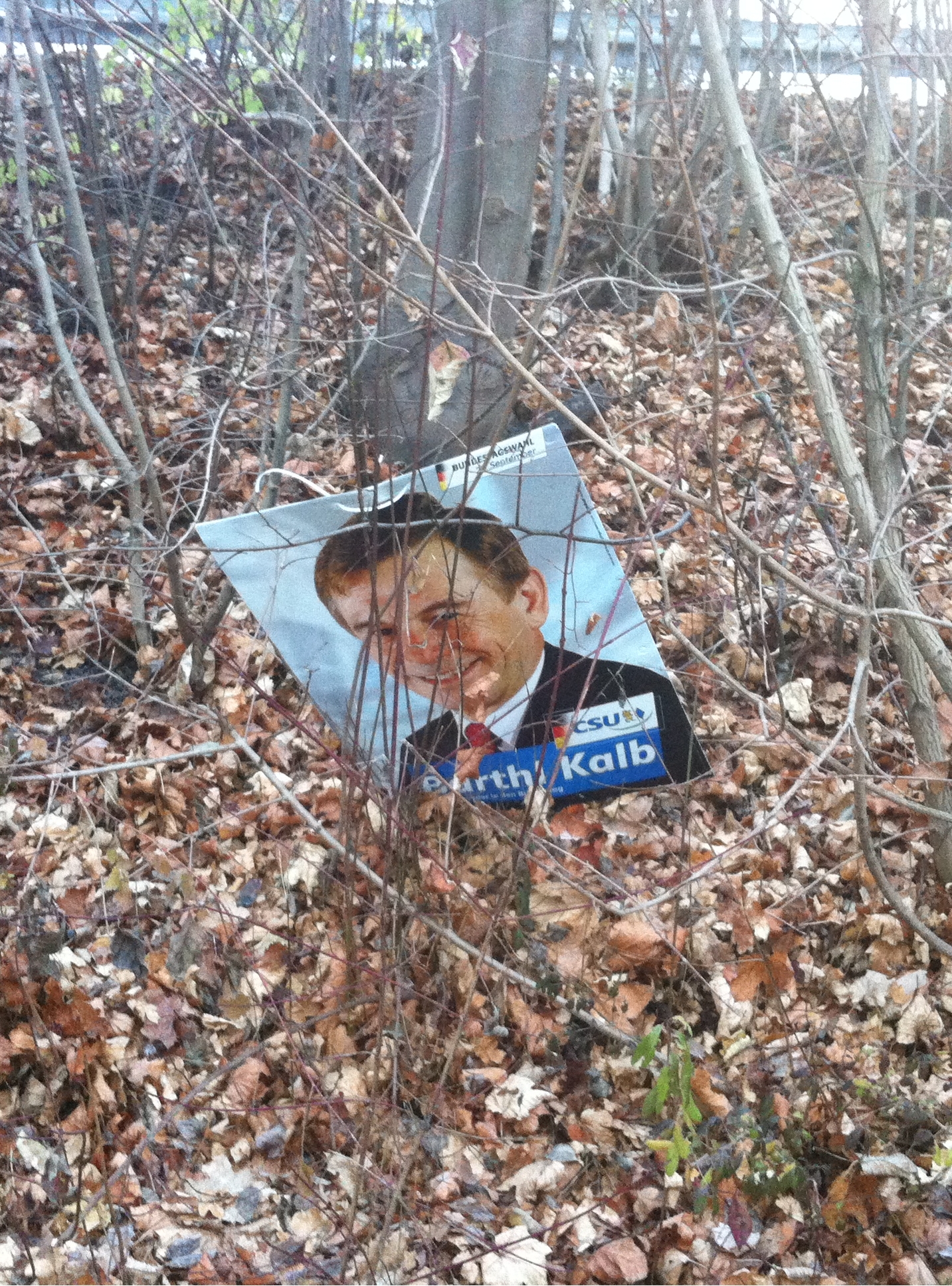 Politiker liegt grinsend neben der Strasse im Busch